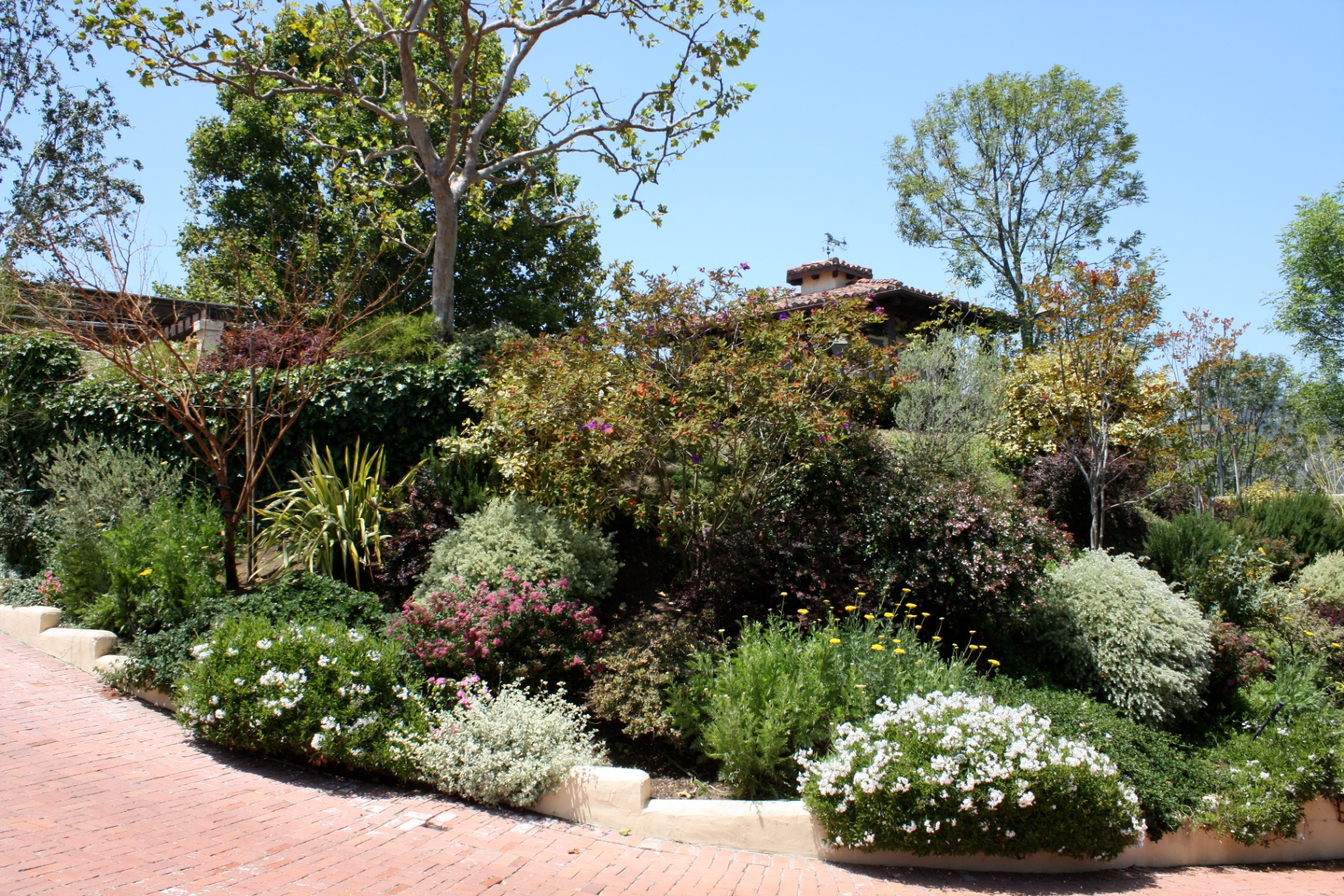 BSH Irrigation Systems — thriving layered garden beds with efficient watering